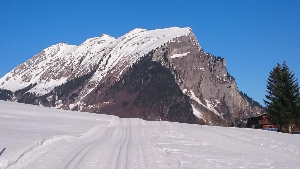 Mein Elternhaus Gaestehaus Waltraud Fink Appartement Au (Vorarlberg) Buitenkant foto