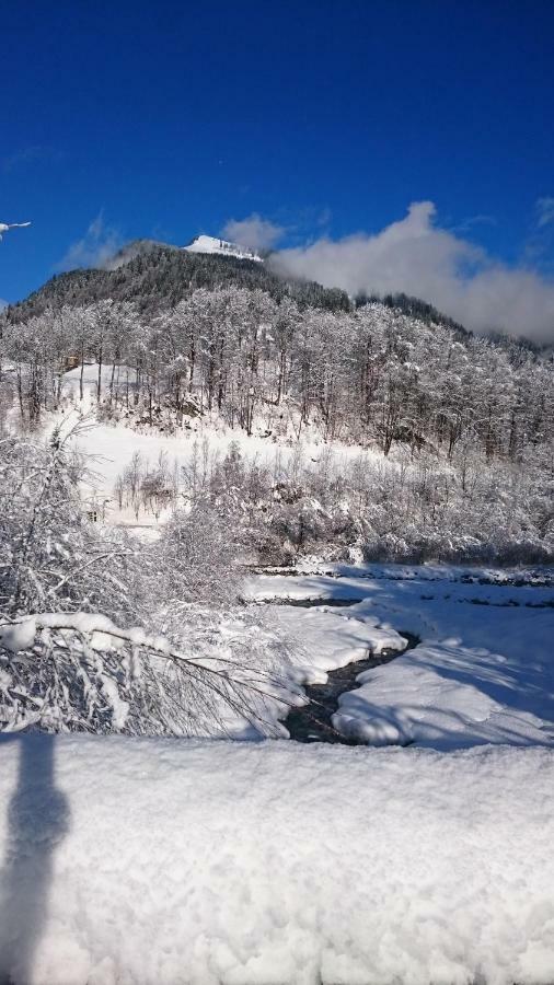 Mein Elternhaus Gaestehaus Waltraud Fink Appartement Au (Vorarlberg) Buitenkant foto