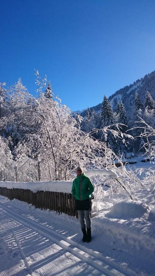 Mein Elternhaus Gaestehaus Waltraud Fink Appartement Au (Vorarlberg) Buitenkant foto