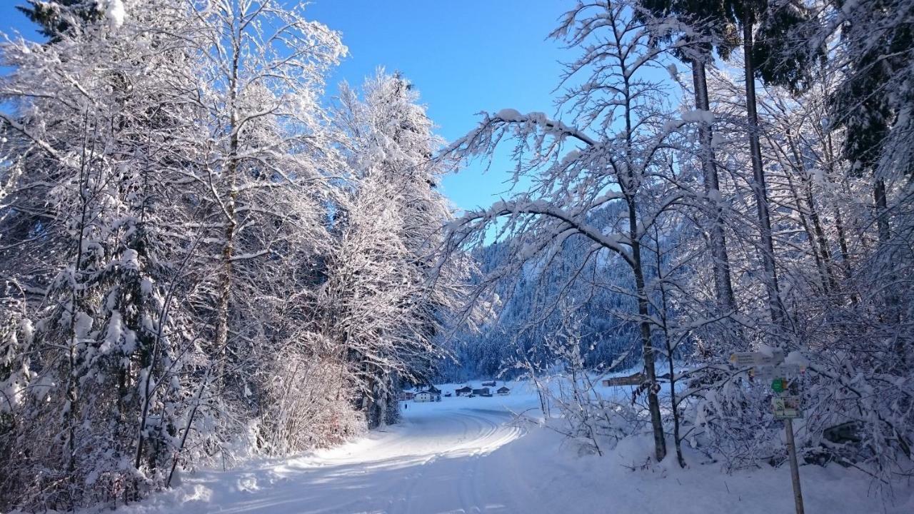 Mein Elternhaus Gaestehaus Waltraud Fink Appartement Au (Vorarlberg) Buitenkant foto