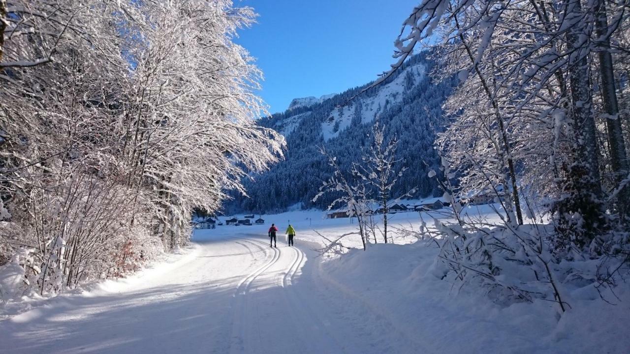 Mein Elternhaus Gaestehaus Waltraud Fink Appartement Au (Vorarlberg) Buitenkant foto