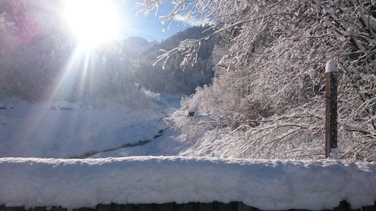 Mein Elternhaus Gaestehaus Waltraud Fink Appartement Au (Vorarlberg) Buitenkant foto