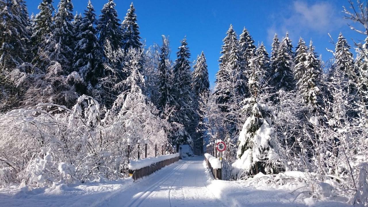 Mein Elternhaus Gaestehaus Waltraud Fink Appartement Au (Vorarlberg) Buitenkant foto